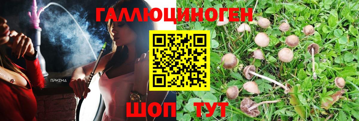 Псилоцибиновые грибы мицелий Невинномысск