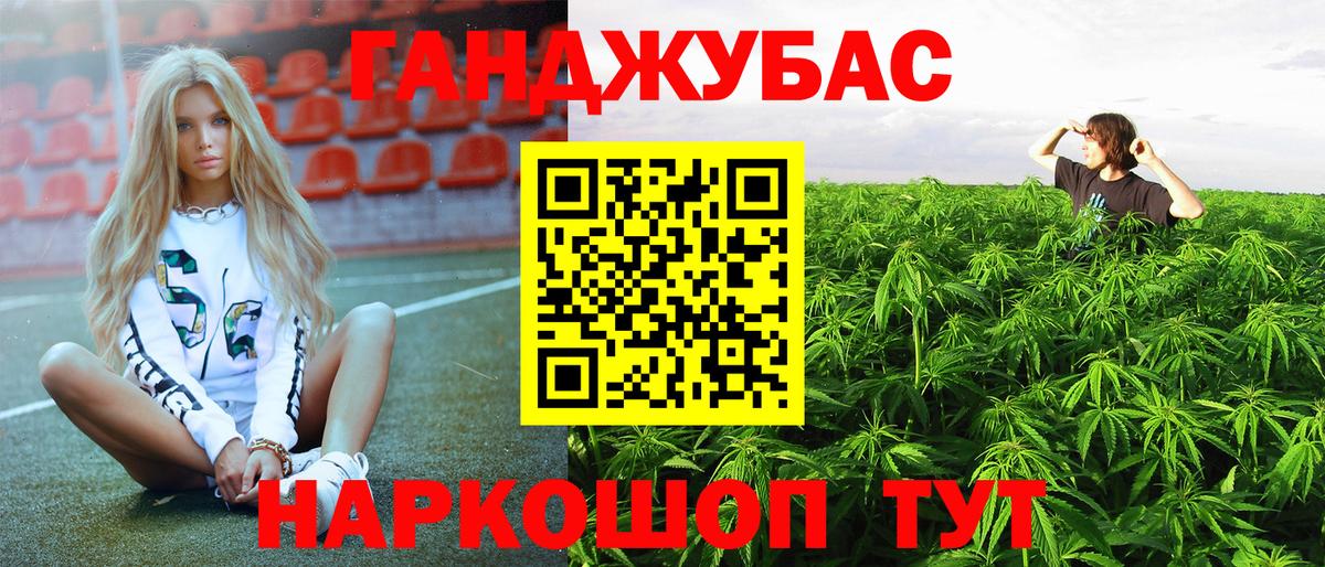 Марихуана сатива Невинномысск
